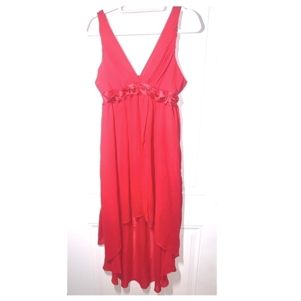 Red Sheer floral Dress by Flora with roses XL